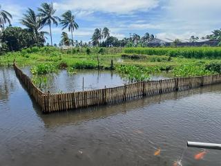 Villa Ilham Ketembong - Tetebatu - 6