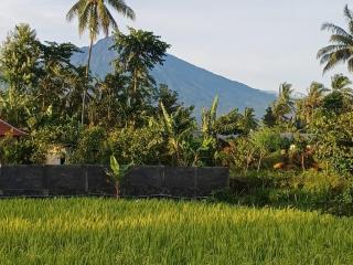 Villa Ilham Ketembong - Tetebatu - 4