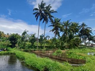 Villa Ilham Ketembong - Tetebatu - 2