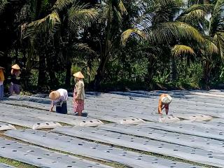 Villa Ilham Ketembong - Tetebatu - 1