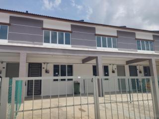 Lilly Grove Homestay - - 0