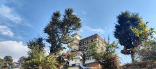 The Unmad Satovari - Dharamshala - 9