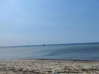 Ferienhaus Kleiner Leuchtturm -Backbord mit Garten und Terrasse - Fehmarn - 8
