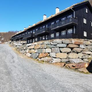 Mountain apartment Røldal alpine center - Håra - 2