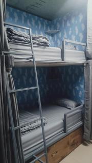 Jasmine Hostel & Guesthouse - 0