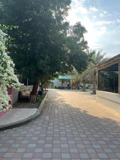 Jenan Al bilh Farmhouse - Barka - 2