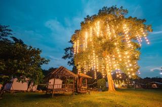 Cha-om camping ชะอม แคมป์ปิ้ง - Kaeng Khoi - 4