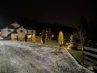 Floare de Colț-Bran - Bran - 6