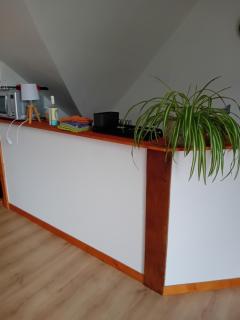 Chambre de la Vigne - Blesmes - 3