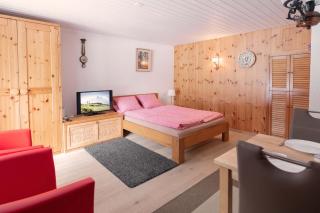 MOM - Alpine Boutique Apartments, Grindelwald gletscher, Eiger View Terrace Studio - 6
