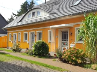 Herzmuschel - Zingst - 1