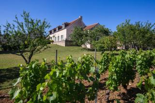 La Maison de Maître, la plus grande des 3 maisons du Clos d'Isand'Or - Meursault - 7
