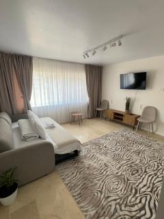 Central Premium Apartment - Iaşi - 8