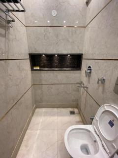 Luxury Flat with Balcony in New Delhi - 7