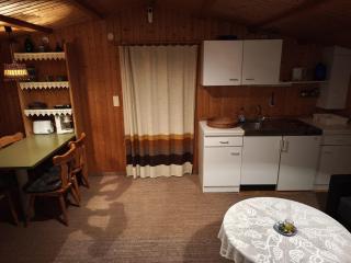 Bergner's Blockhütte - Twielenfleth - 3