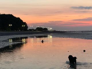 Dog Friendly Apartment with Sea Views - Ryde - 2