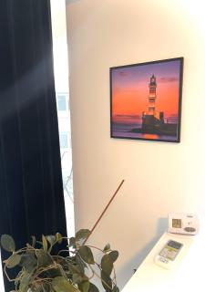 Airport Gardens Loft - Otopeni - 4