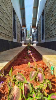 KEDOVO Cottages - Nyeri - 7