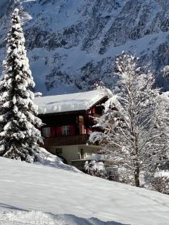 Nora 5 Bett Wohnung - Grindelwald - 0