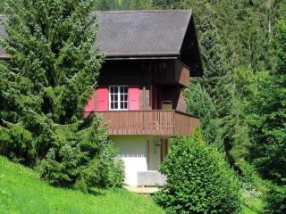 Nora 5 Bett Wohnung - Grindelwald - 8