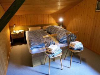 Nora 5 Bett Wohnung - Grindelwald - 4