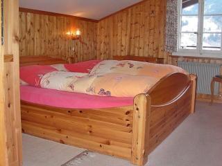 Wychel 5 Bett Wohnung - Grindelwald - 5