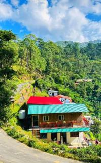 El Pino De Ringlana - Lansdowne - 0