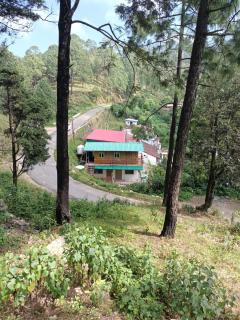 El Pino De Ringlana - Lansdowne - 3