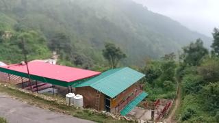 El Pino De Ringlana - Lansdowne - 1