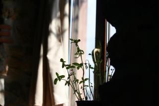 Al Cantello - Galati Mamertino - 3