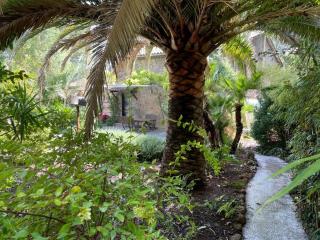 Le Moulin - 7