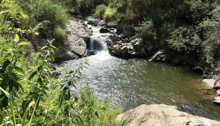 Ap da Serra em Barão de Javary - Miguel Pereira - 2