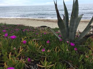 Villa Costa Verde - 1