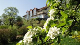 Landhotel Burgenblick - Erfurt - 9