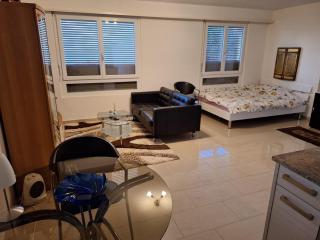 Grosse 1-Z-Wohnung - 7