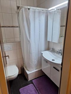 Grosse 1-Z-Wohnung - 6