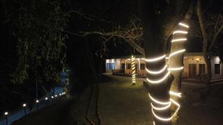 The forest trail by lake & woods - 4