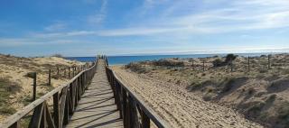 Cozy house in Torrevieja - Torrevieja - 9