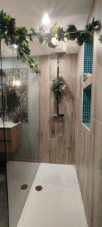 Appartement SPA Safari - 5