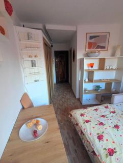 Apartament 1 camera modern la 5 minute de Iulius Town - 6