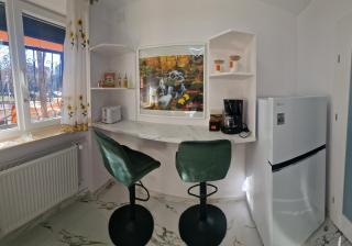 Daniela City Apartment - Bucarest - 9