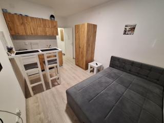 Apartman-studio Sokobanja - Sokobanja - 1