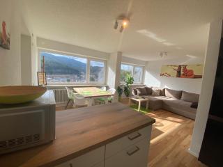 Hochschwarzwald Ferienwohnung - Titisee-Neustadt - 3