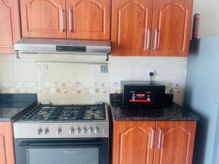 Ocean View Luxurious Homes - Ajman - 2