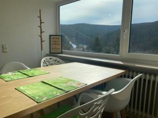 Hochschwarzwald Ferienwohnung - Titisee-Neustadt - 9