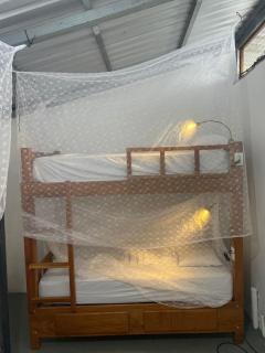 Dragon's Garden Dormitorio - Santa Cruz - 4