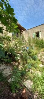 Gîte de la Tarabelle, maison entière avec grand patio et SPA à la campagne - 6