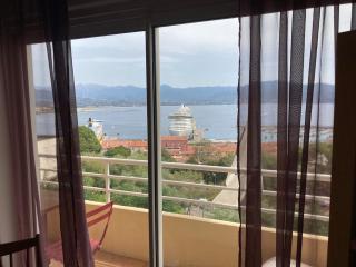 Appartement 2 chambres centre ville d Ajaccio avec magnifique vue mer - Ajaccio - 2