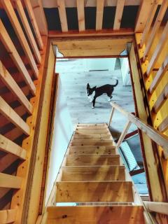 La Bergerie des Volcans - DogFriendly - Saint-Nectaire - 1