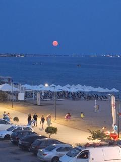 Studio Margarita - 3